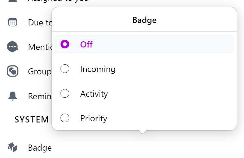 Badge app icon settings